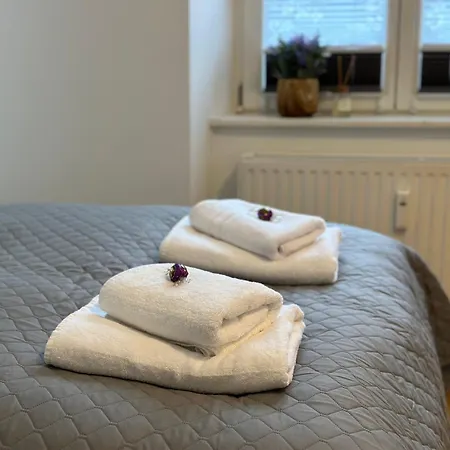 Bella - Business&family Ap 12, 100m Zum Konzerteingang Schloss, Parkplatz, Smarttv, Netflix, Waschmaschine, 24h Checkin, 36qm Ludwigsburg